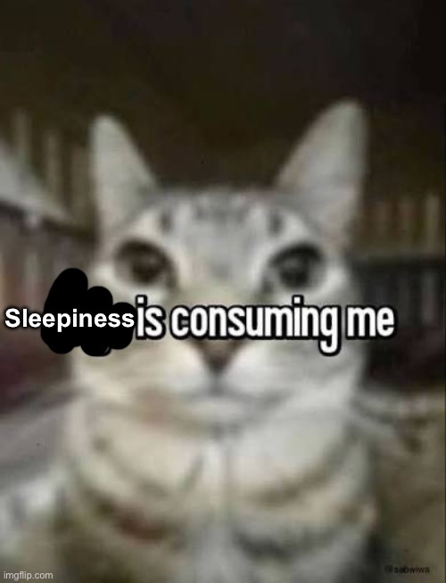 Sleepiness | made w/ Imgflip meme maker
