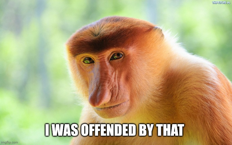 Janusz Monkey | I WAS OFFENDED BY THAT | image tagged in janusz monkey | made w/ Imgflip meme maker