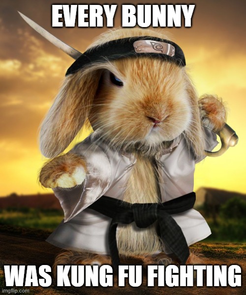 bunny Kung Fu | EVERY BUNNY; WAS KUNG FU FIGHTING | image tagged in bunnies | made w/ Imgflip meme maker