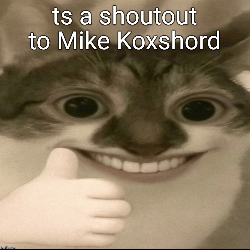 bombastic side eye cat v3 | ts a shoutout to Mike Koxshord | image tagged in bombastic side eye cat v3 | made w/ Imgflip meme maker