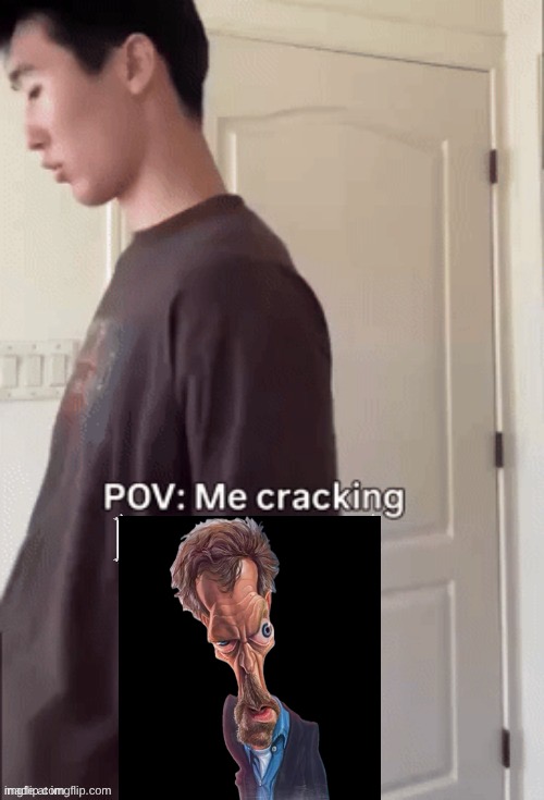 me cracking ___ | image tagged in me cracking ___ | made w/ Imgflip meme maker