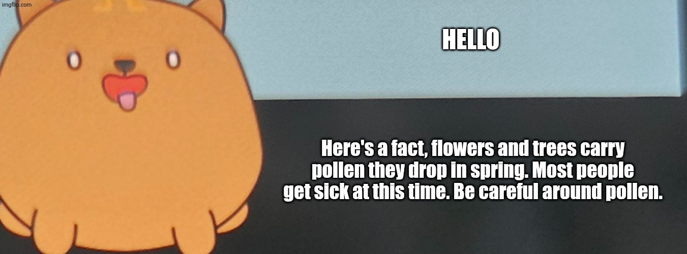 Hello, here's a fact! | HELLO; Here's a fact, flowers and trees carry pollen they drop in spring. Most people get sick at this time. Be careful around pollen. | image tagged in hello here's a fact | made w/ Imgflip meme maker