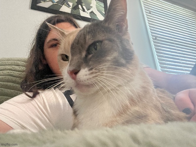 Kitty :D | made w/ Imgflip meme maker