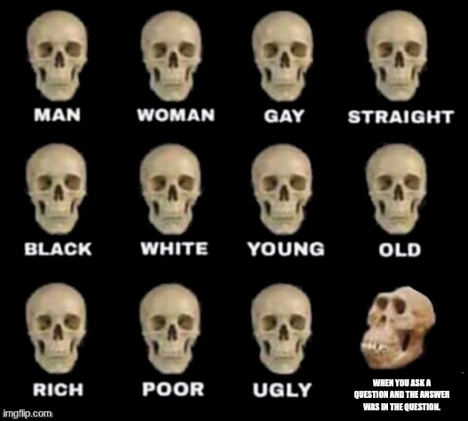 LOL | WHEN YOU ASK A QUESTION AND THE ANSWER WAS IN THE QUESTION. | image tagged in idiot skull | made w/ Imgflip meme maker