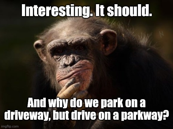 Ape Think | Interesting. It should. And why do we park on a driveway, but drive on a parkway? | image tagged in ape think | made w/ Imgflip meme maker