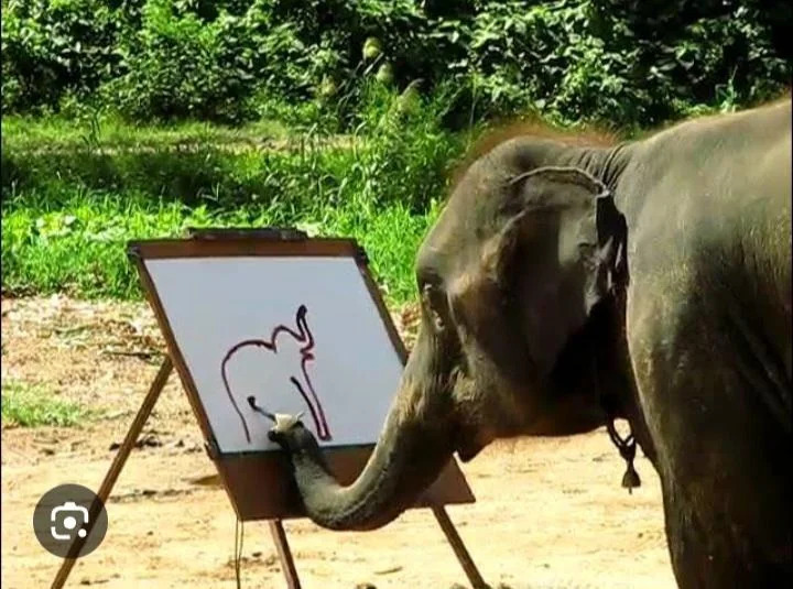 Painting Elephant Blank Meme Template