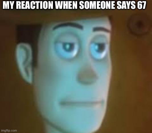 disappointed woody | MY REACTION WHEN SOMEONE SAYS 67 | image tagged in disappointed woody | made w/ Imgflip meme maker