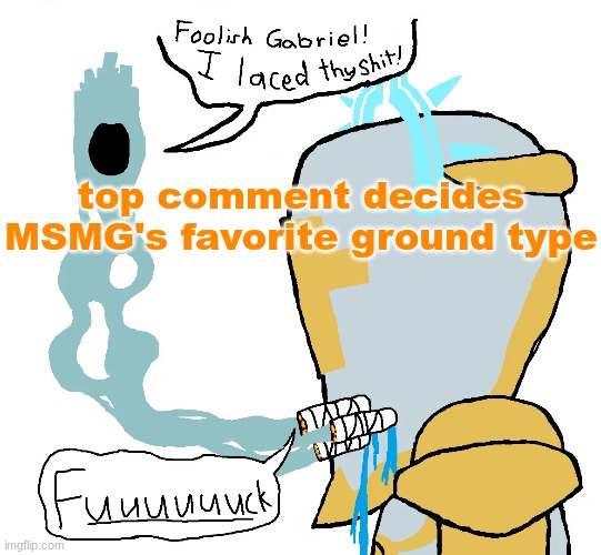 top comment decides MSMG's favorite ground type | made w/ Imgflip meme maker