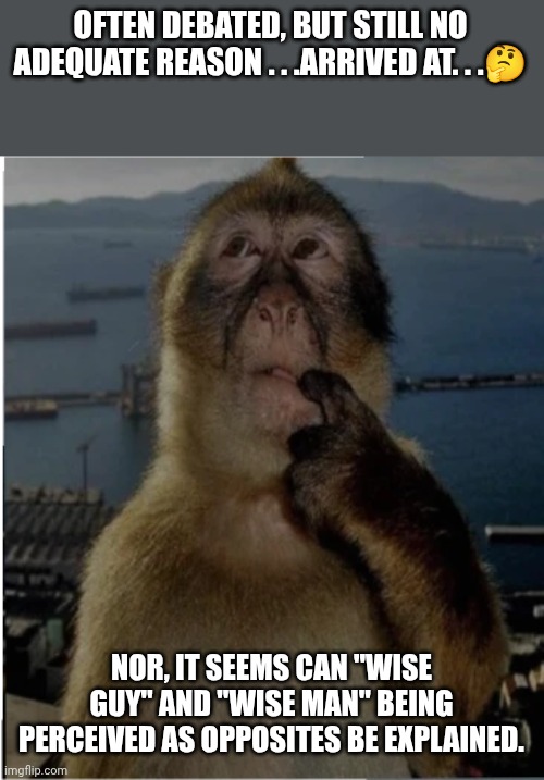 thinking monkey | OFTEN DEBATED, BUT STILL NO ADEQUATE REASON . . .ARRIVED AT. . .? NOR, IT SEEMS CAN "WISE GUY" AND "WISE MAN" BEING PERCEIVED AS OPPOSITES B | image tagged in thinking monkey | made w/ Imgflip meme maker