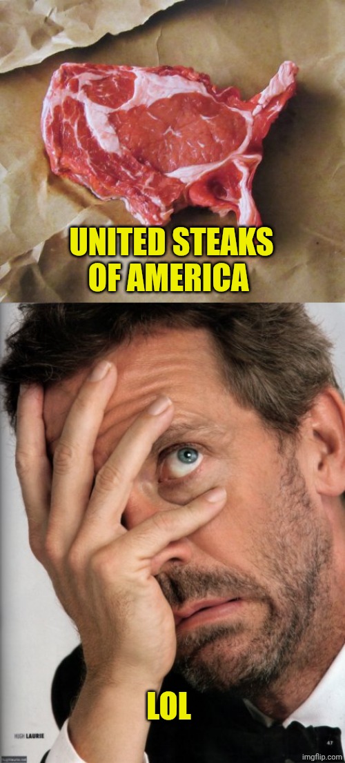 UNITED STEAKS OF AMERICA; LOL | image tagged in chrisjoines1,dr house facepalm | made w/ Imgflip meme maker