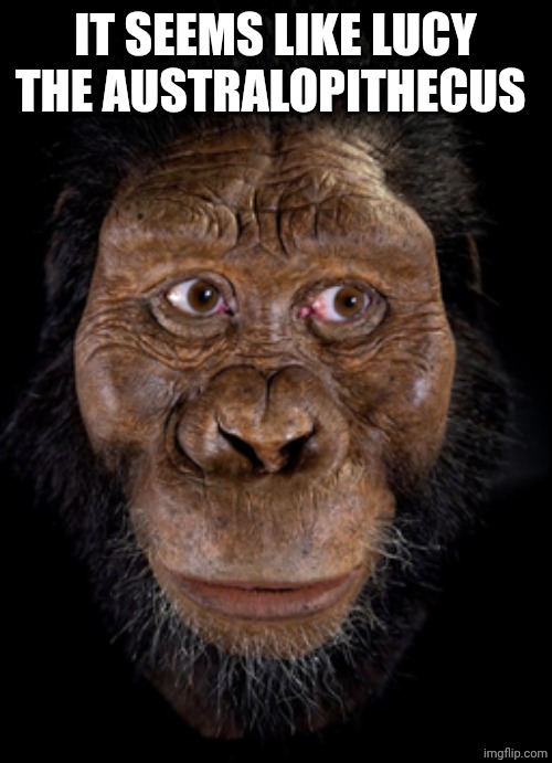 Earliest Australopithecus | IT SEEMS LIKE LUCY THE AUSTRALOPITHECUS | image tagged in earliest australopithecus | made w/ Imgflip meme maker