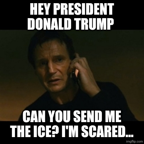Liam Neeson Taken | HEY PRESIDENT DONALD TRUMP; CAN YOU SEND ME THE ICE? I'M SCARED... | image tagged in memes,liam neeson taken | made w/ Imgflip meme maker
