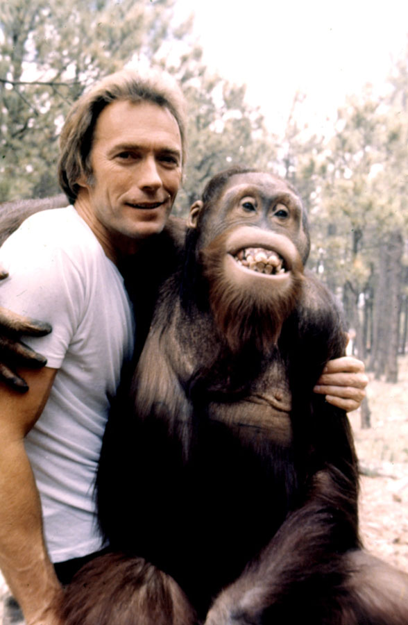 Clint Eastwood and Clyde Blank Meme Template