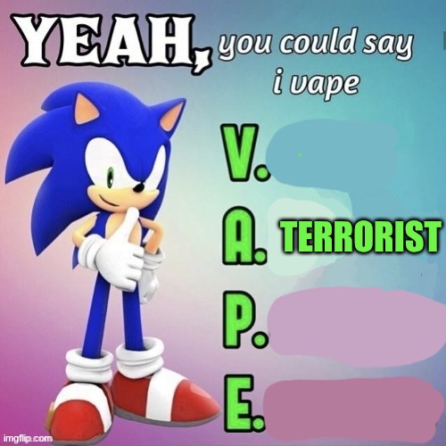 Yeah, you could say I vape Sonic | TERRORIST | image tagged in yeah you could say i vape sonic | made w/ Imgflip meme maker