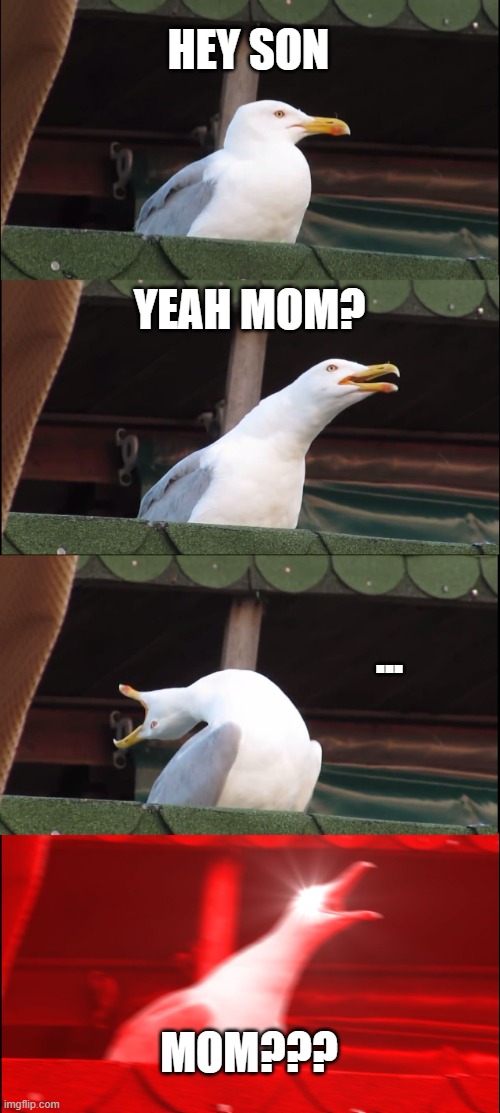 Inhaling Seagull Meme | HEY SON; YEAH MOM? ... MOM??? | image tagged in memes,inhaling seagull | made w/ Imgflip meme maker