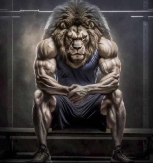 Buff lion sitting | image tagged in buff lion sitting | made w/ Imgflip meme maker