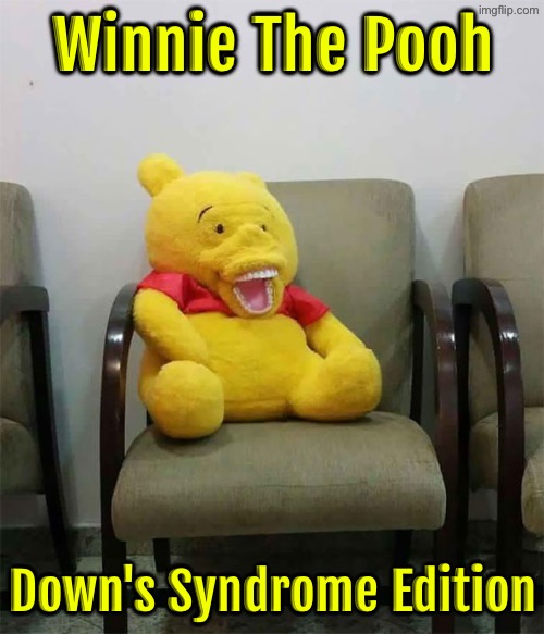 Winnie The Pooh | Winnie The Pooh; Down's Syndrome Edition | image tagged in winnie the pooh,retarded,funny memes,design fails,dude wtf,cursed images | made w/ Imgflip meme maker
