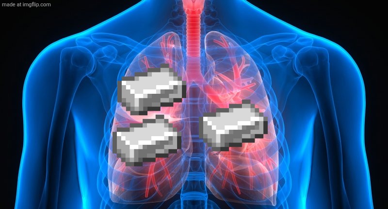 I have watched Iron Lung | image tagged in lungs | made w/ Imgflip meme maker