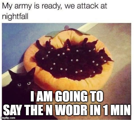 fuck you nemo | I AM GOING TO SAY THE N WODR IN 1 MIN | image tagged in grimnemo's army | made w/ Imgflip meme maker