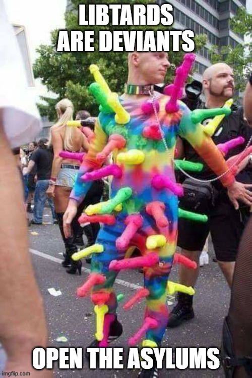 Meanwhile in Minnesota | LIBTARDS ARE DEVIANTS; OPEN THE ASYLUMS | image tagged in meanwhile in minnesota | made w/ Imgflip meme maker