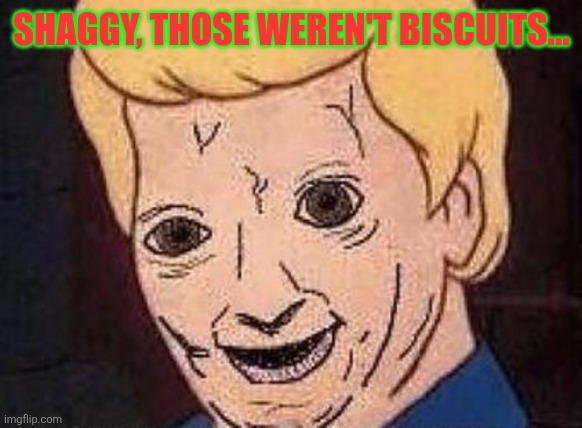 Shaggy this isnt weed fred scooby doo | SHAGGY, THOSE WEREN'T BISCUITS... | image tagged in shaggy this isnt weed fred scooby doo | made w/ Imgflip meme maker