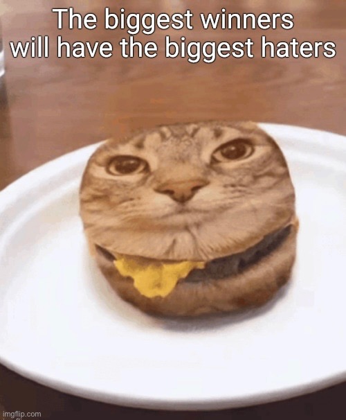 image tagged in msmg | made w/ Imgflip meme maker