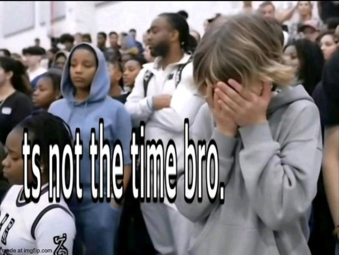 Ts not the time bro | image tagged in ts not the time bro | made w/ Imgflip meme maker