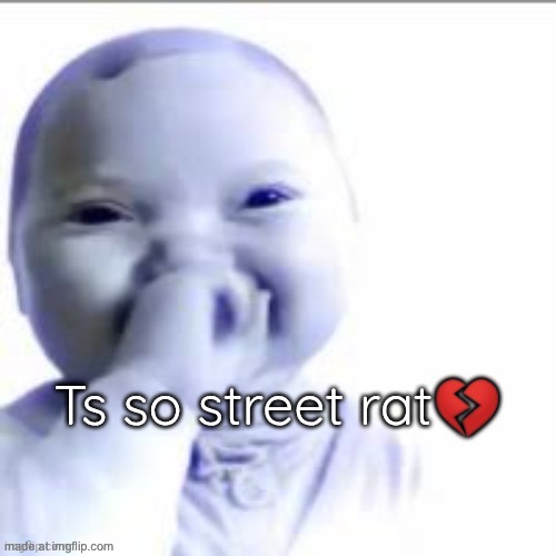 Ts so street rat | image tagged in ts so street rat | made w/ Imgflip meme maker