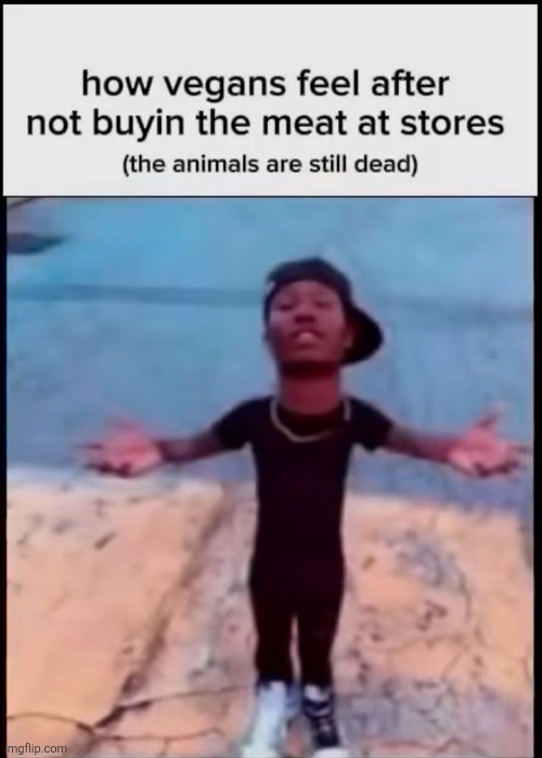 image tagged in memes,funny | made w/ Imgflip meme maker