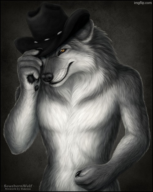 Alpha Fedora Wolf | image tagged in alpha fedora wolf | made w/ Imgflip meme maker