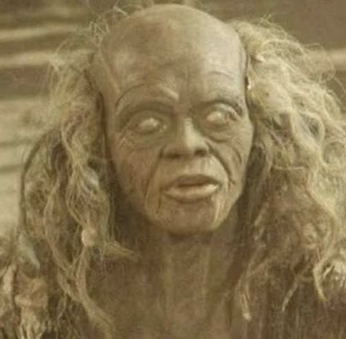 Witchdoctor Blank Meme Template