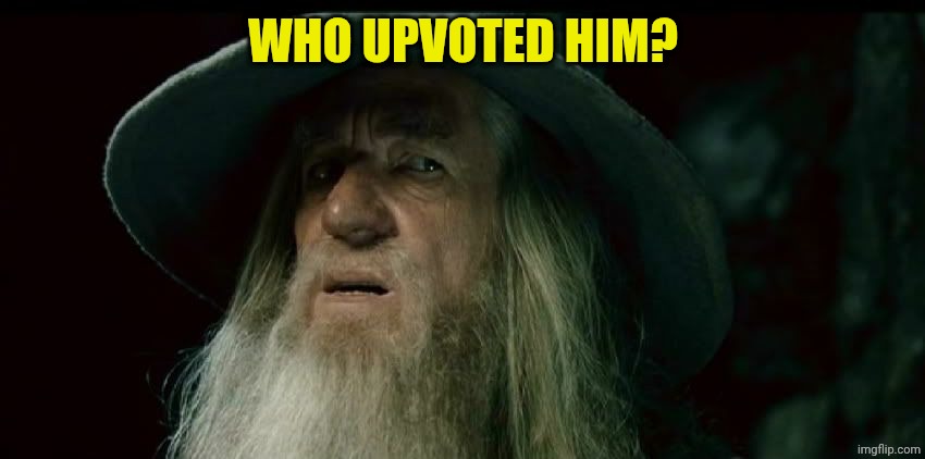 CONFUSED GANDALF | WHO UPVOTED HIM? | image tagged in confused gandalf | made w/ Imgflip meme maker