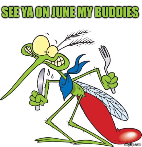 Mosquito | SEE YA ON JUNE MY BUDDIES | image tagged in parkhill mosquito | made w/ Imgflip meme maker