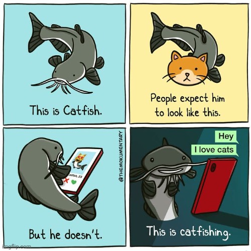 Catfish | image tagged in catfish,cat,fish,cats,comics,comics/cartoons | made w/ Imgflip meme maker