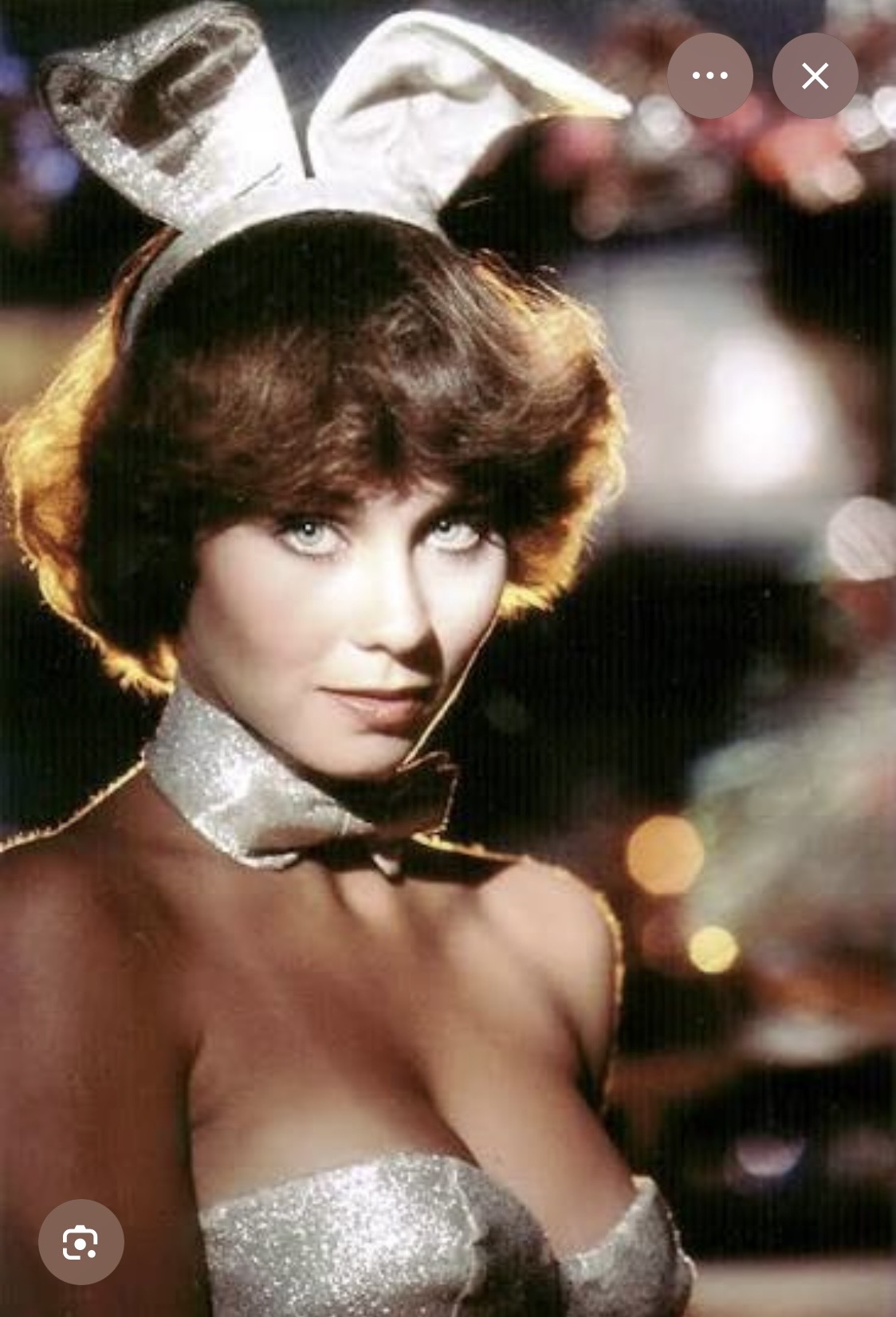 Bad Bunny Blank Meme Template