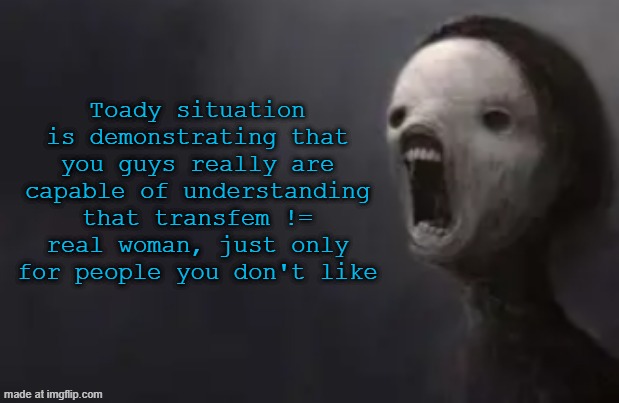 gonna get eviscerated and drawn and quartered for ts take | Toady situation is demonstrating that you guys really are capable of understanding that transfem != real woman, just only for people you don't like | image tagged in void lazy | made w/ Imgflip meme maker