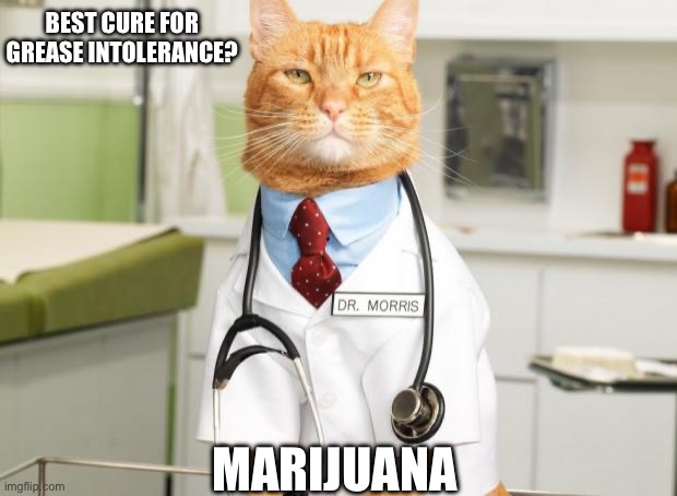Marijuana Can Cure Grease Intolerance | BEST CURE FOR GREASE INTOLERANCE? MARIJUANA | image tagged in cat doctor | made w/ Imgflip meme maker
