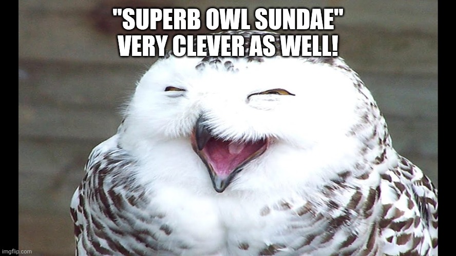 "SUPERB OWL SUNDAE"
VERY CLEVER AS WELL! | image tagged in laughing owl | made w/ Imgflip meme maker