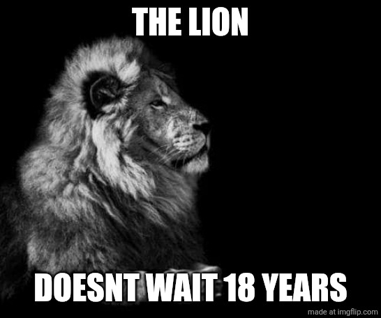 the lion.. | THE LION; DOESNT WAIT 18 YEARS | image tagged in the lion | made w/ Imgflip meme maker