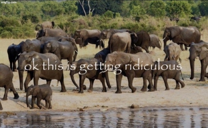 image tagged in ok this is getting ridiculous | made w/ Imgflip meme maker