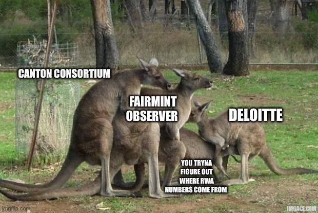 CANTON CONSORTIUM FAIRMINT OBSERVER DELOITTE YOU TRYNA FIGURE OUT WHERE RWA NUMBERS COME FROM | image tagged in kangaroo-orgy | made w/ Imgflip meme maker