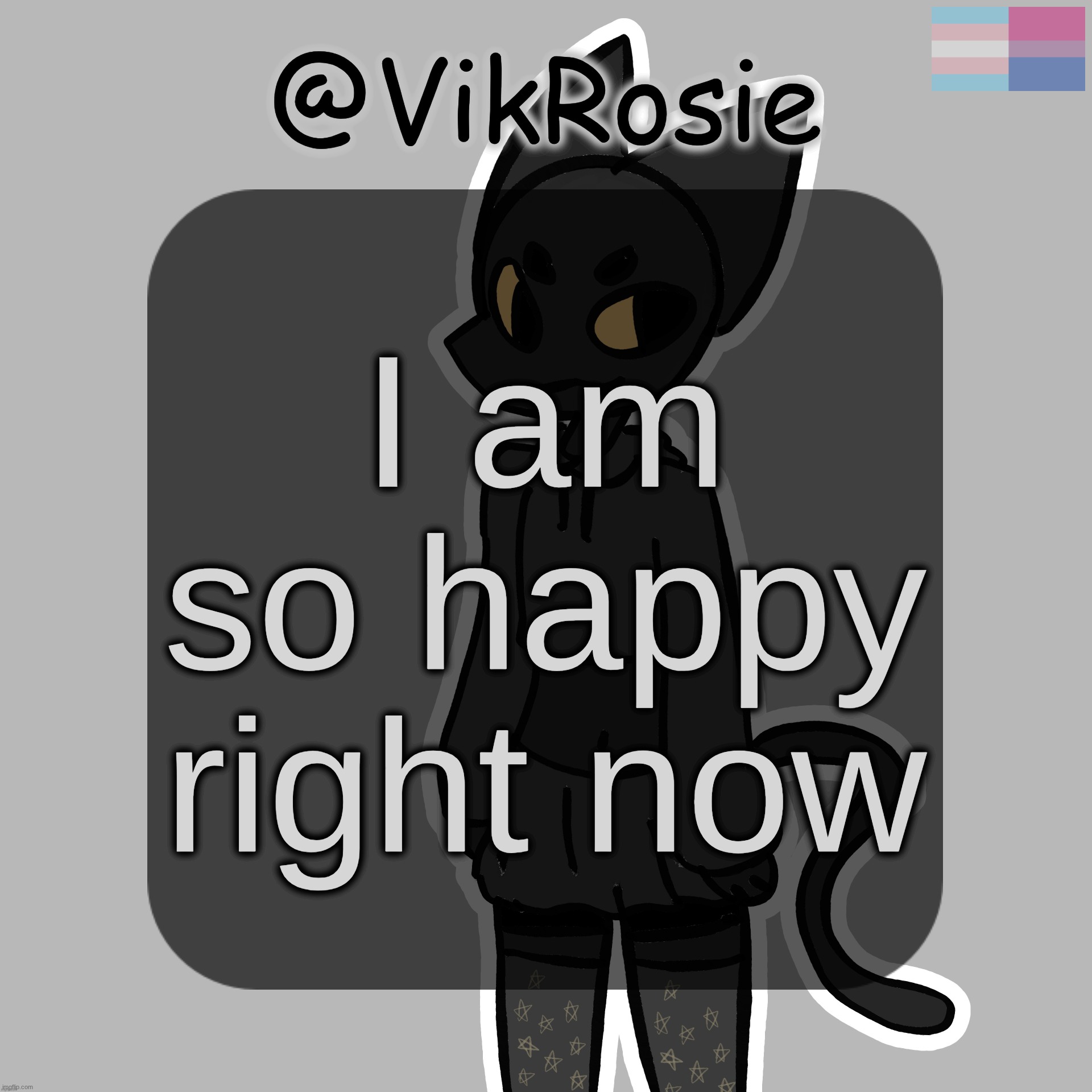 Rose's Stormy temp | I am so happy right now | image tagged in rose's stormy temp | made w/ Imgflip meme maker