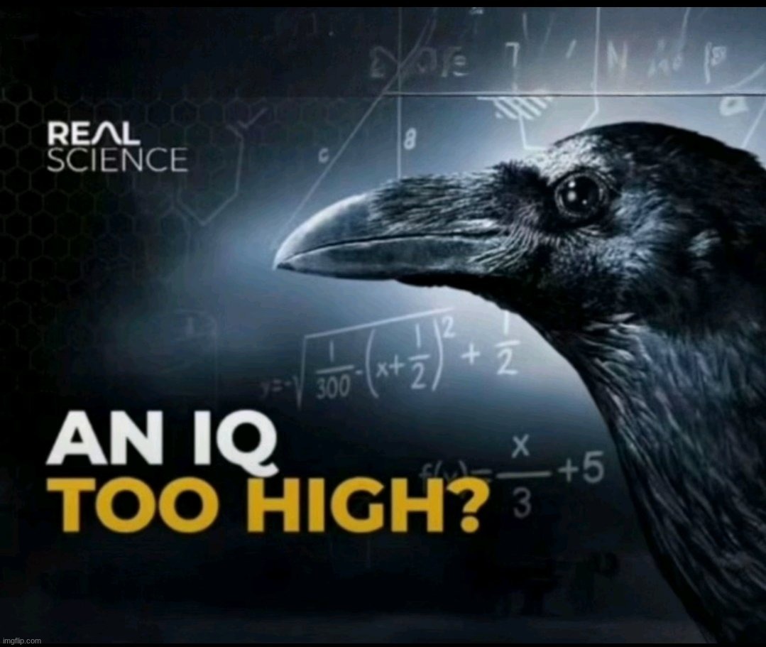 an iq too high? | image tagged in an iq too high | made w/ Imgflip meme maker