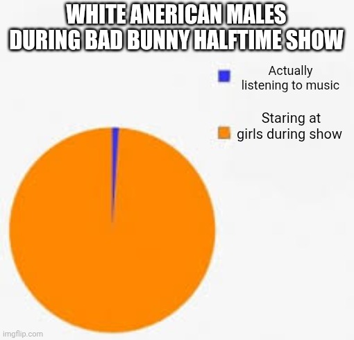Bad bunny halftime show | WHITE ANERICAN MALES DURING BAD BUNNY HALFTIME SHOW; Actually listening to music; Staring at girls during show | image tagged in pie chart meme | made w/ Imgflip meme maker