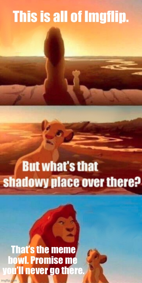 Simba Shadowy Place | This is all of Imgflip. That’s the meme bowl. Promise me  you’ll never go there. | image tagged in memes,simba shadowy place,msmg | made w/ Imgflip meme maker