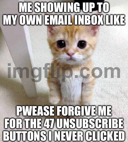 ME SHOWING UP TO MY OWN EMAIL INBOX LIKE | ME SHOWING UP TO MY OWN EMAIL INBOX LIKE; PWEASE FORGIVE ME FOR THE 47 UNSUBSCRIBE BUTTONS I NEVER CLICKED | image tagged in memes,cute cat,cat memes,email,unsubscribe,junk | made w/ Imgflip meme maker