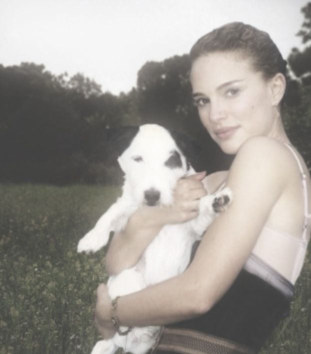 Girlblog. Blank Meme Template