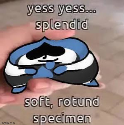 I will protect this goober at all costs | image tagged in lancer,yess,splendid,soft rotund specimen,deltarune | made w/ Imgflip meme maker
