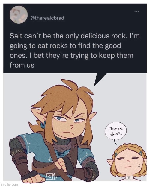mmm yummi rocks | image tagged in the legend of zelda breath of the wild,tears of the kingdom,link,zelda,rocks,eating | made w/ Imgflip meme maker