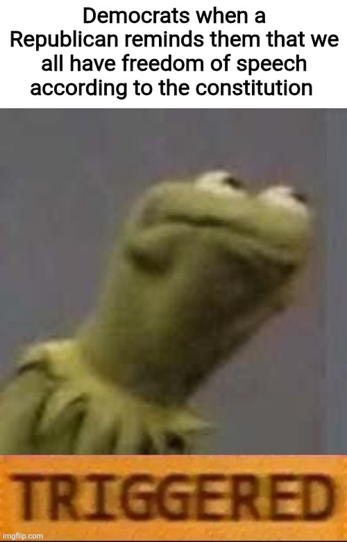 triggered | Democrats when a Republican reminds them that we all have freedom of speech according to the constitution | image tagged in kermit triggered,republican | made w/ Imgflip meme maker